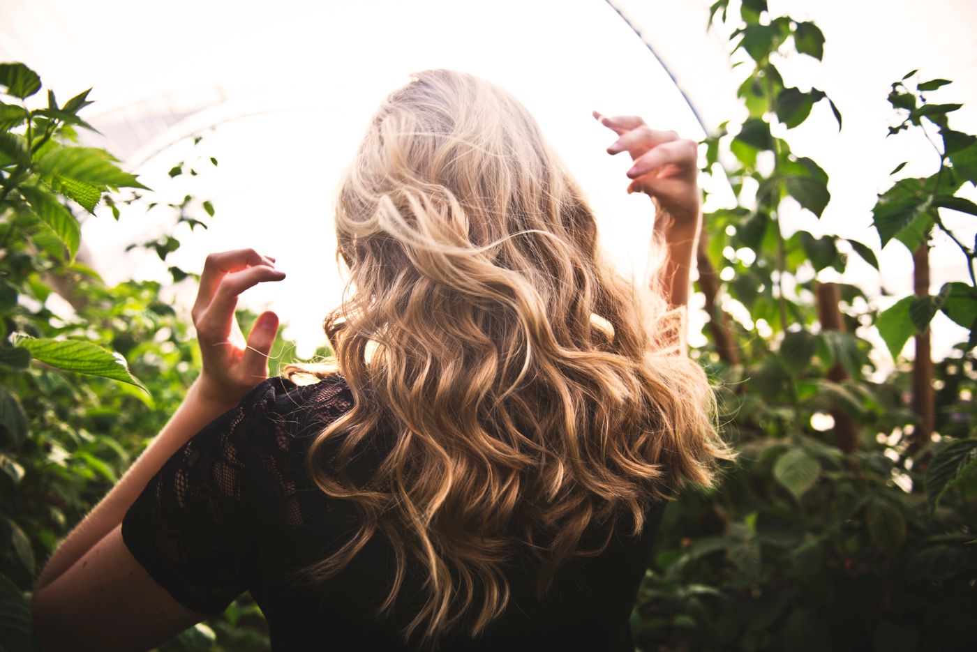 Cheveux blonds ondulés aux reflets dorés, vus de dos dans la verdure